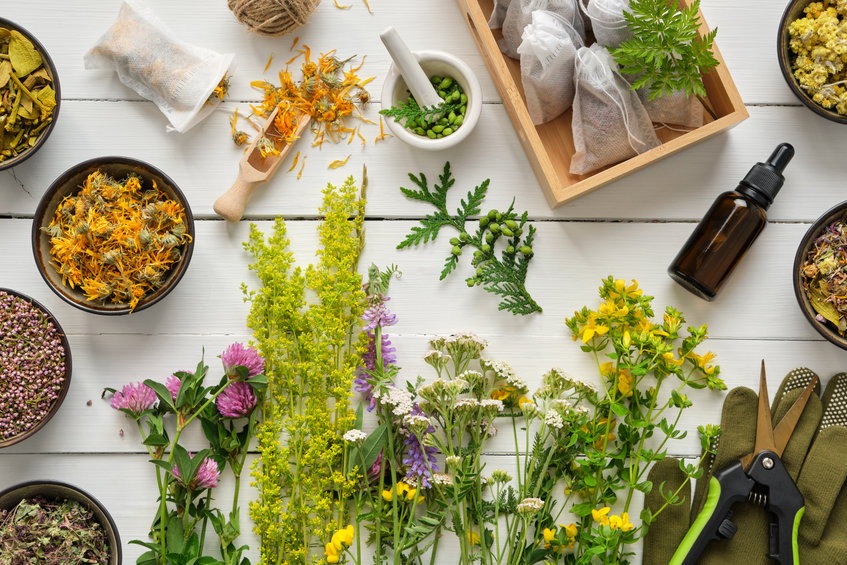 Quels sont les bienfaits des plantes aromatiques sur la santé ?